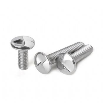 S type anti-theft screw