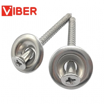 304 Ss Roof Nail Screw With a Cap