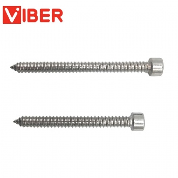 Hex Allen Socket Head Cap Self Tapping Screw