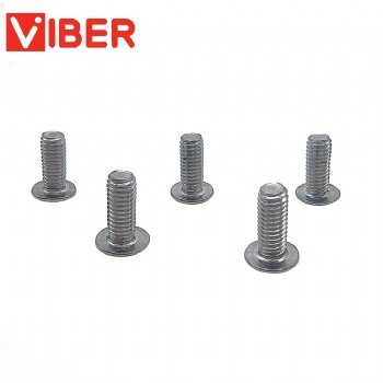 Large Flat Round Head Screw