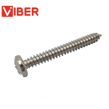 Pan Head Slotted & Philips Self Tapping Screw