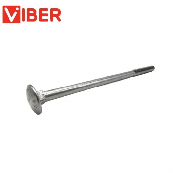 stainless steel Carriage Bolt