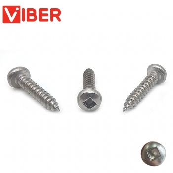Stainless Steel Pan Head Square Drive Self Tapping Screw