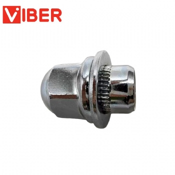 Car Wheel Rims Nut